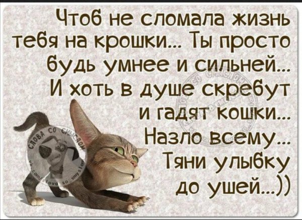 Про жизнь