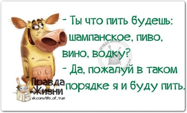 шуточные высказывания