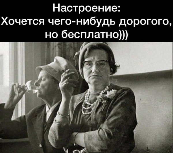 веселые высказывания