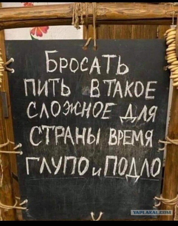 бросать пить в такое трудное для страны время
