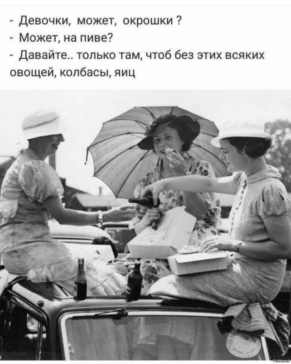 картинки приколы