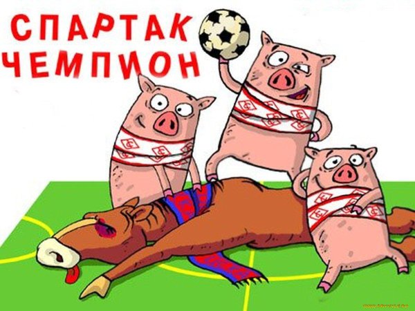 поросенок спартак