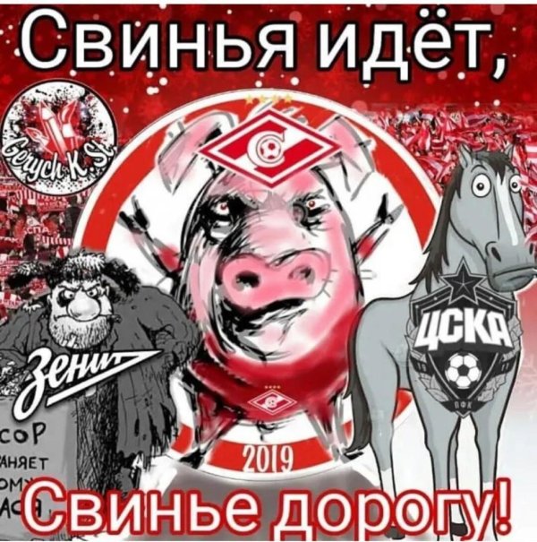 поросенок спартак