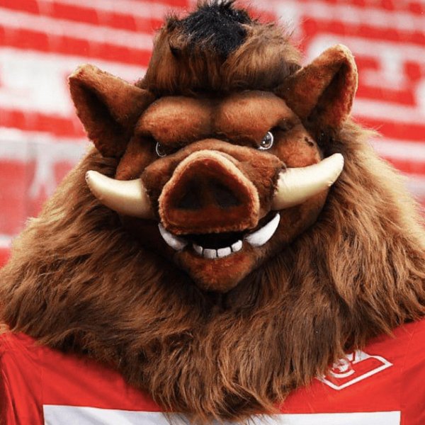 маскот спартака