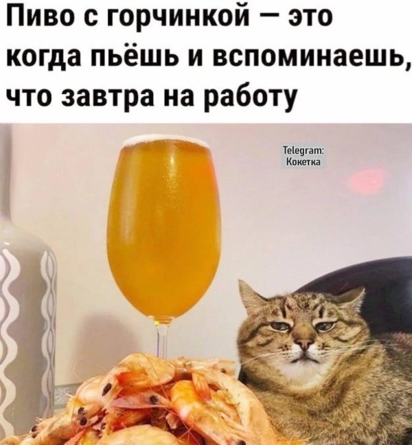 отборные мемы