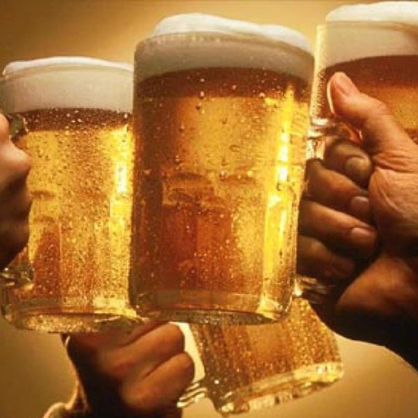 чокаются пивом