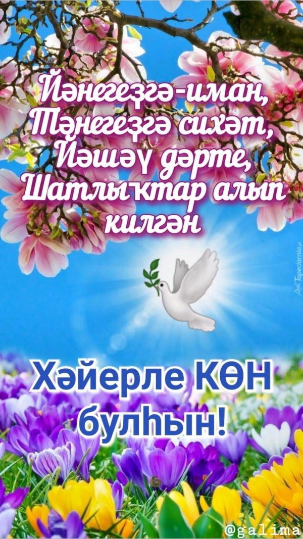 хайерле ирта