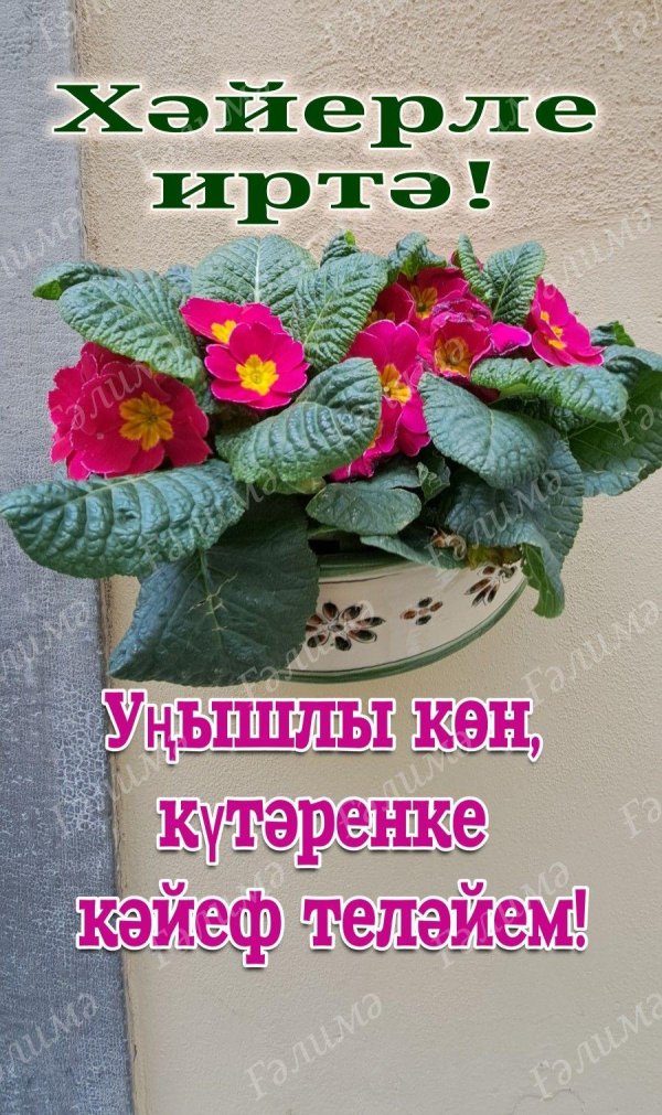 хәерле иртә дуслар