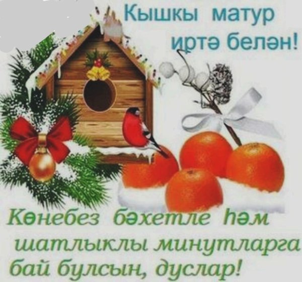 кышкы иртэлэр белэн