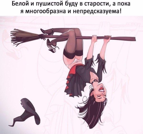 смешные высказывания