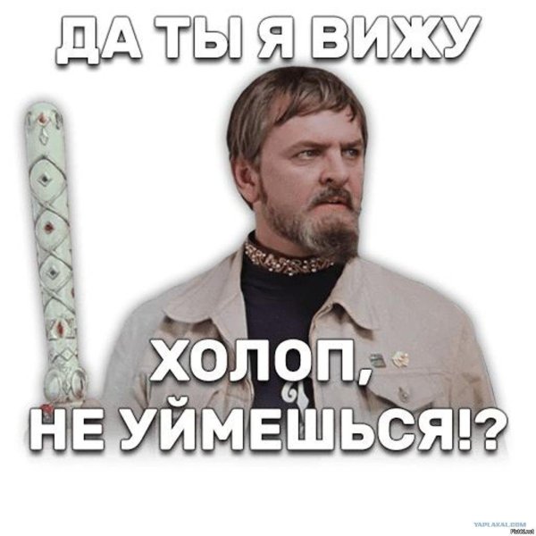да ты я вижу холоп не уймешься