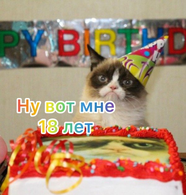 грампи кэт день рождения