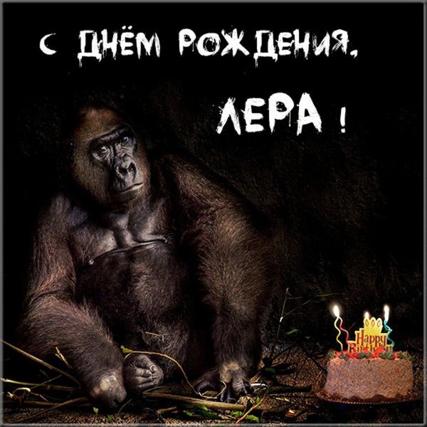 с днём рождения егор прикольные