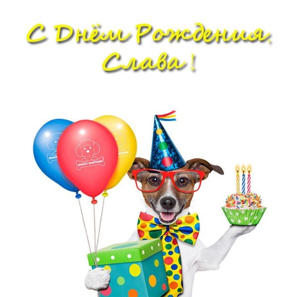 с днём рождения джек рассел терьер