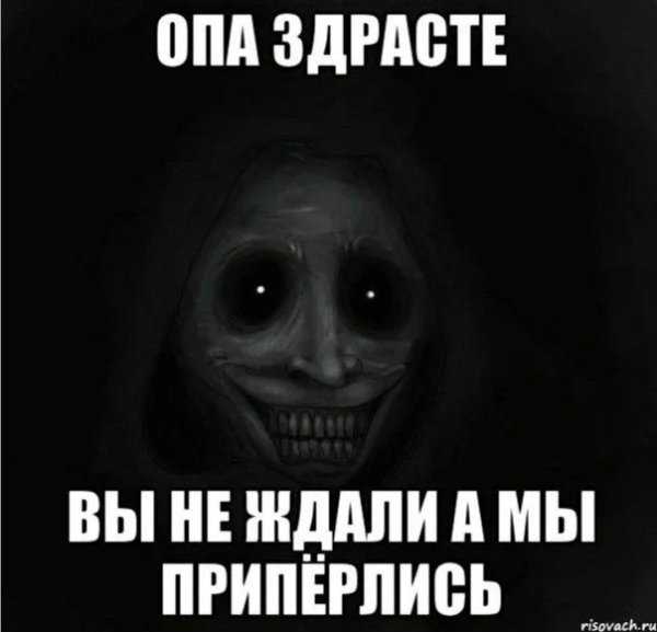 ночной гость