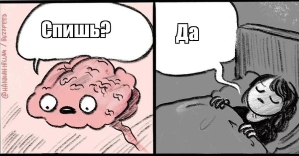 глупые мысли перед сном юмор