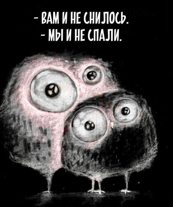 смешной совенок