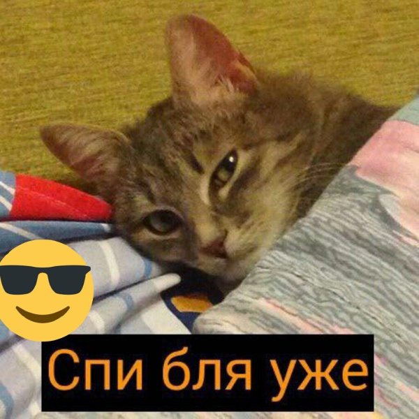 спи уже