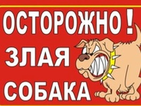 Злая собака осторожно