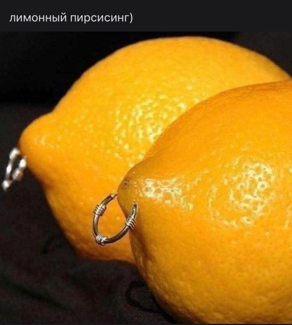 пирсинг член
