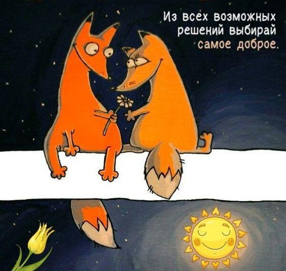 обнять лисичку бесценно