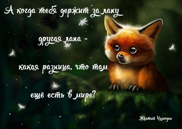 доброй ночи лисенок
