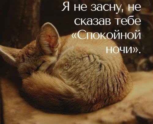 спокойной ночи
