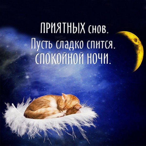 сладких снов прикольные