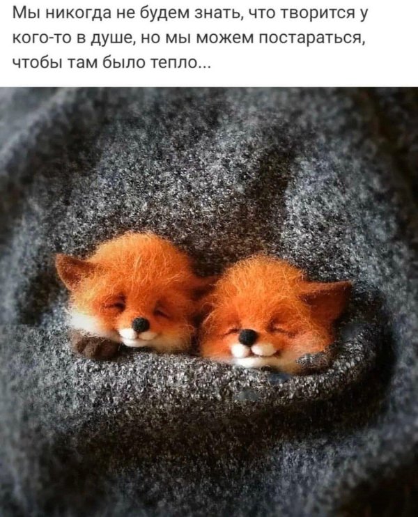 зверюшки из войлока