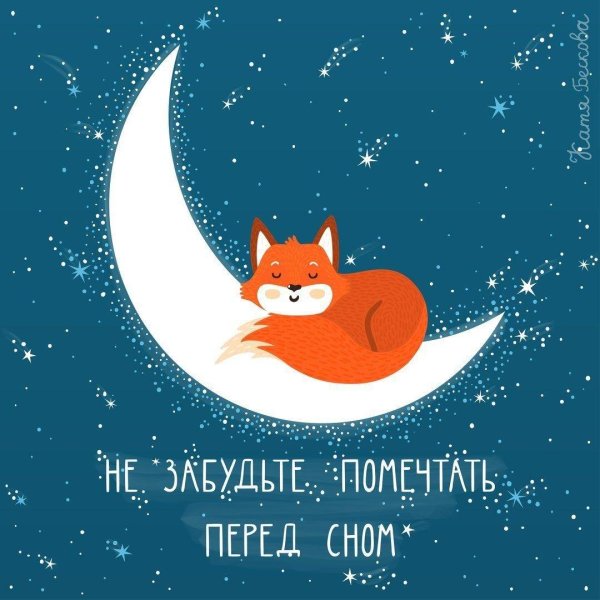 лисёнок спит на луне