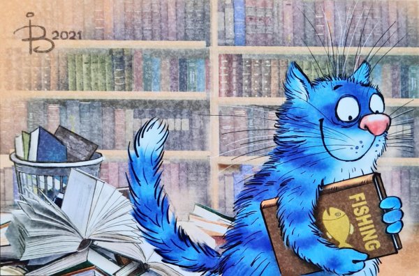 синие коты зенюк