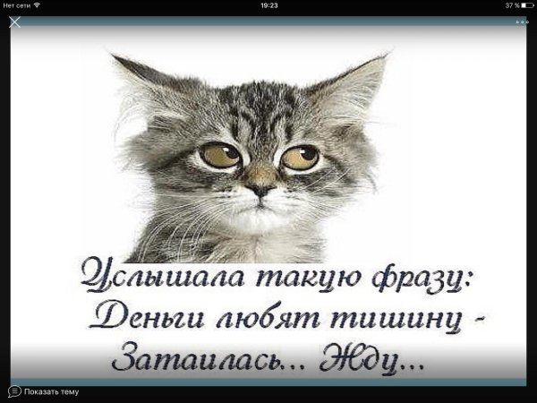 слово со смыслом