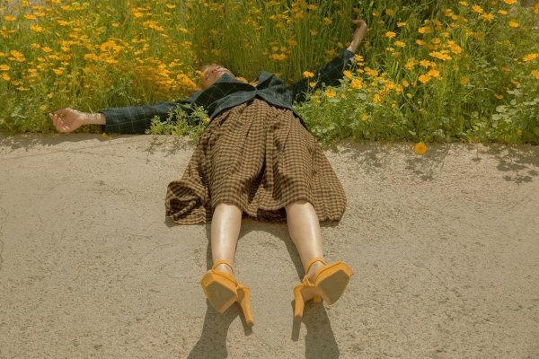 летний пикник