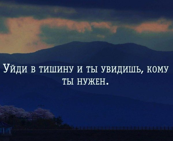 высказывания про тишину