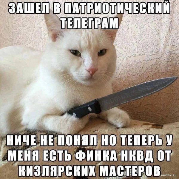 популярные мемы