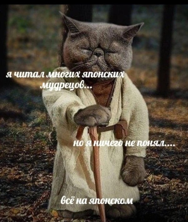 японская мудрость