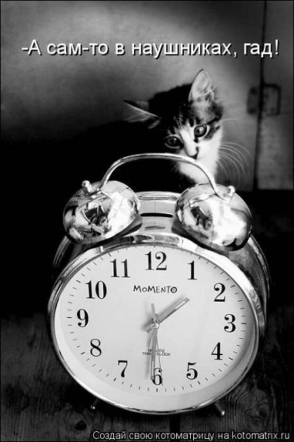 живой будильник