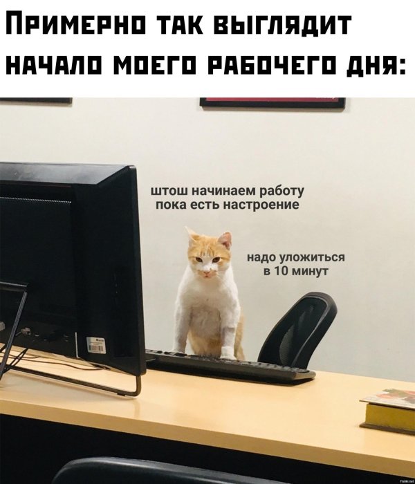 начало работы