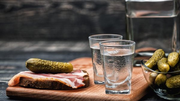 праздник русской водки